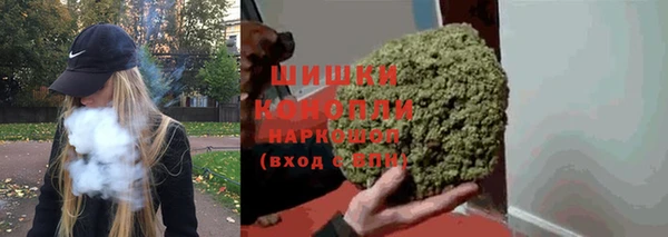 индика Балабаново