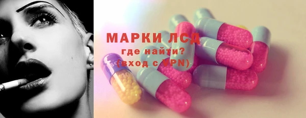 PSILOCYBIN Аркадак
