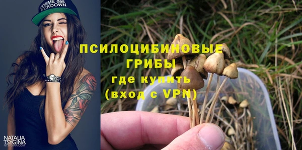 прущие крисы Арсеньев