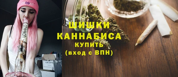 PSILOCYBIN Аркадак