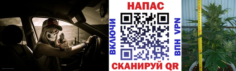Бошки Шишки White Widow  наркота  Певек 